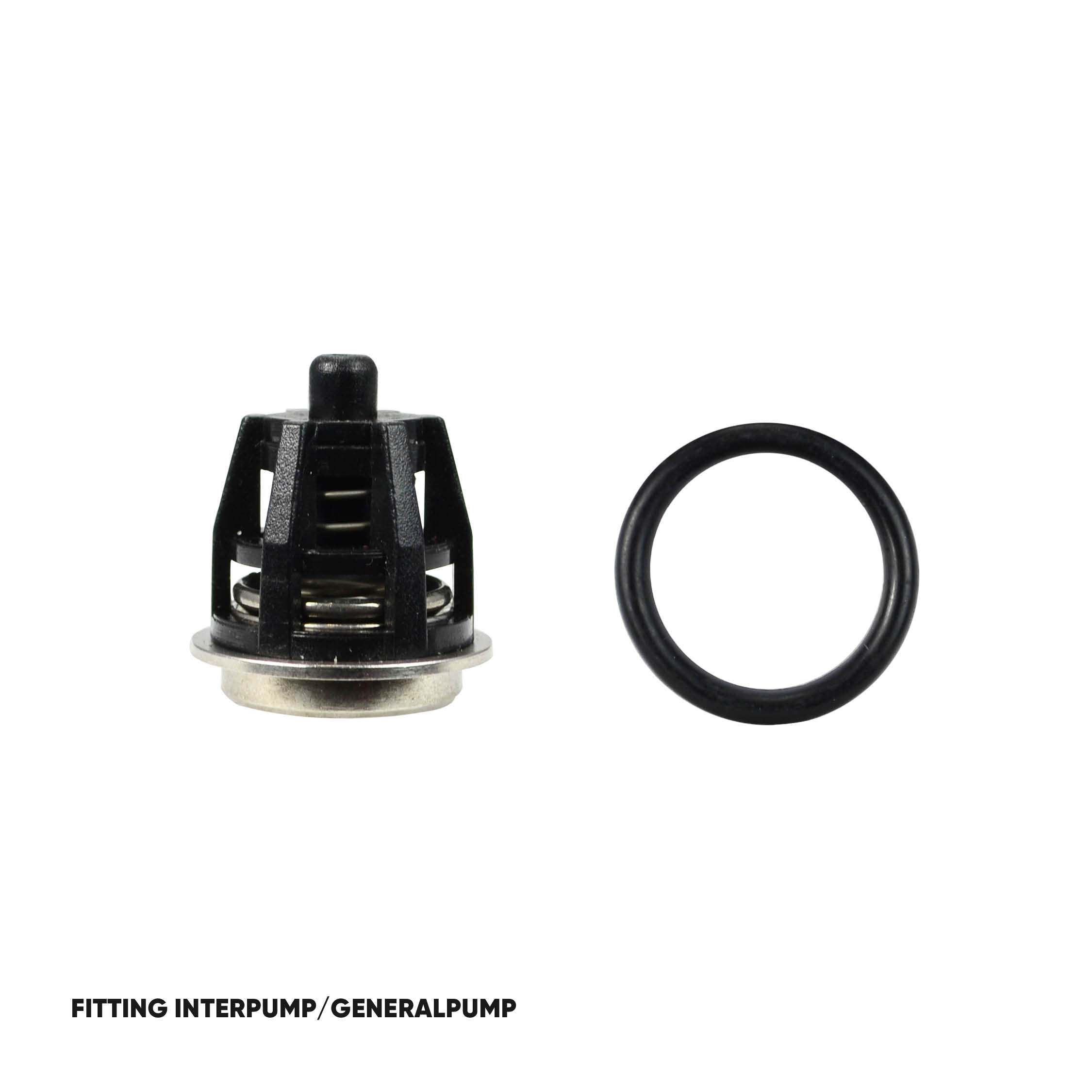 immagini-dolly-INTERPUMP-GENERALPUMP2.jpg