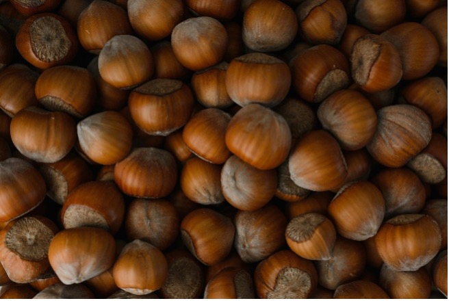 Experimental project on hazelnut fruit