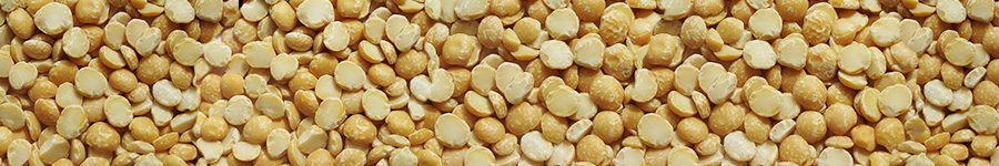 B2Bitalia.org