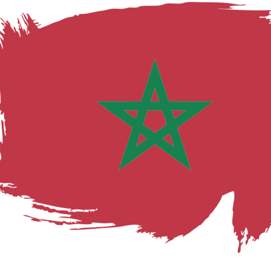 Italian Excellence on Rail: New B2B Opportunities in the Global Railway Market